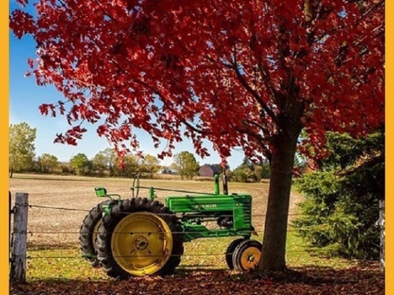 GALLERY -NC- 22-ED-3