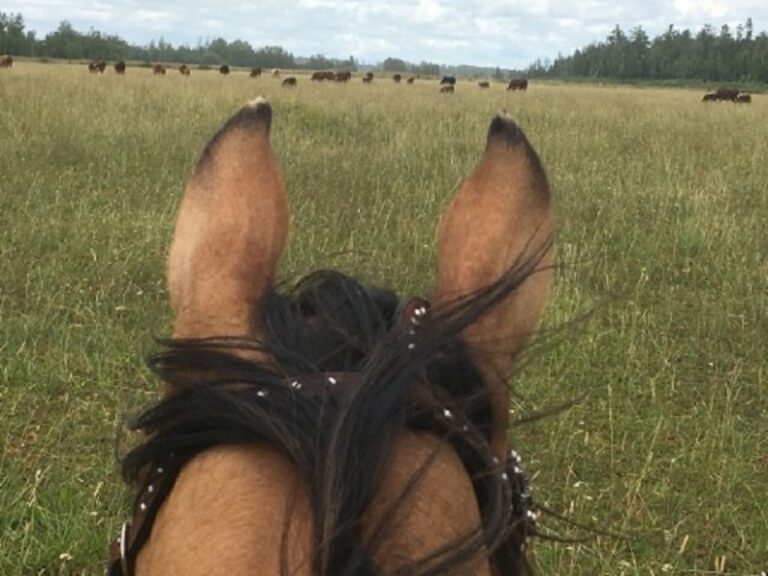 Rose McLean Twiner photo 6 -ed2